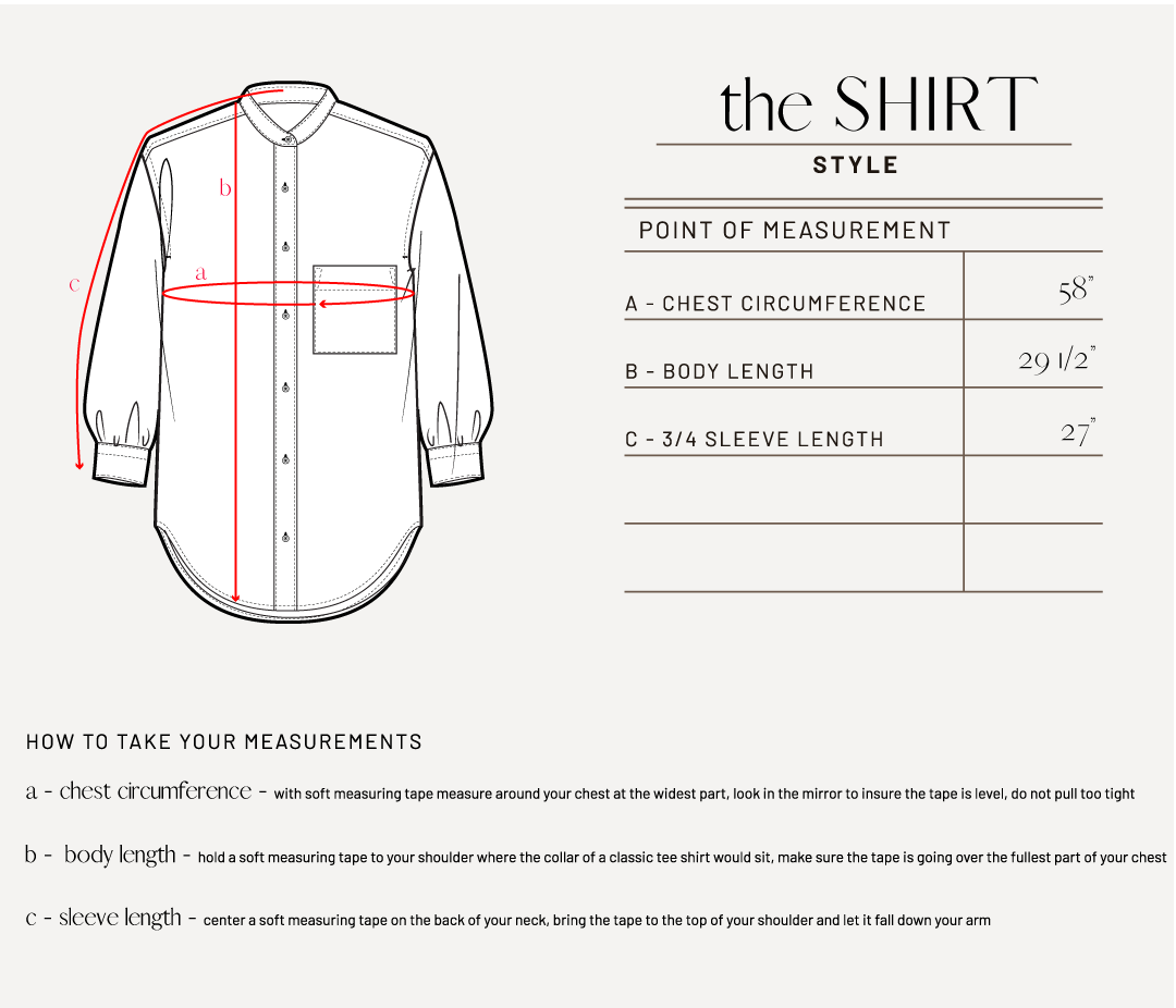 The Shirt 031